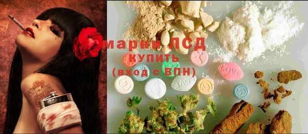 ECSTASY Алзамай