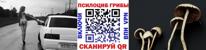 OMG ССЫЛКА  Октябрьск  Галлюциногенные грибы GOLDEN TEACHER 